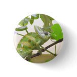 Green Lizard buttons