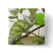 Green Lizard Pin