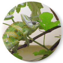 Green Lizard Buttons