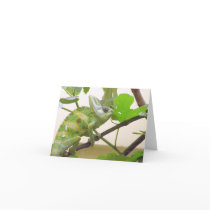 Green Lizard Card