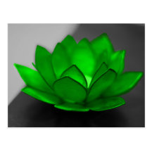 Green Lotus Postcard