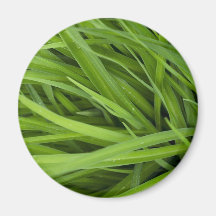 Green Lush Grass Magnets