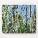 Green Lynx Spider in Lavender mousepads