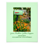 Green Mailbox, Golden Poppies Photo Art