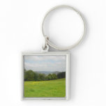 Green meadow. Countryside scenery. Keychains