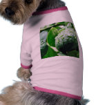 Green Meyer Lemon pet clothing