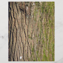 Green mossy wooden texture flyer design