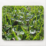 Green natue mousepads