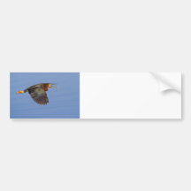 Green on Blue Bumper Sticker