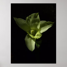 Green orchid print