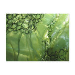 Green Organza postcards