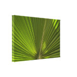 Green Palm Frond Wrapped Canvas Print