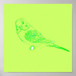 Green Parakeet Poster