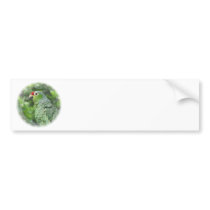 Green Parrot Bumper Sticker