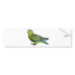 Green Parrot bumper stickers