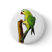 Green Parrot