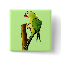 Green Parrot