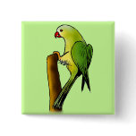 Green Parrot buttons