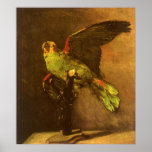 Green Parrot by Vincent van Gogh Posters