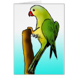 Green Parrot cards