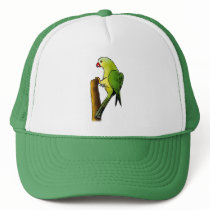 Green Parrot