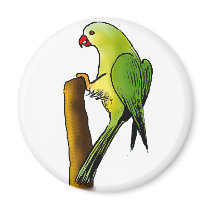 Green Parrot