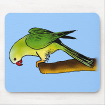 Green Parrot