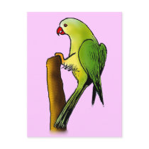 Green Parrot