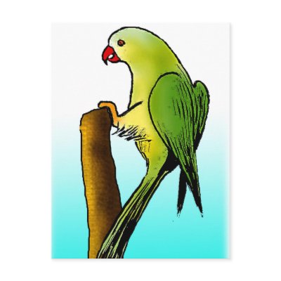 Green Parrot Postcard by Yolan10
