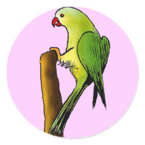 Green Parrot