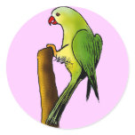 Green Parrot stickers