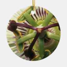 Green Passiflora flowers Ornaments