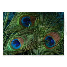 Green Peacock Feather Wedding Greeting Cards