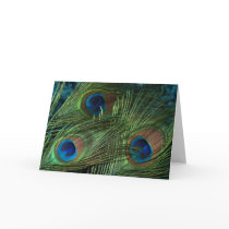 Green Peacock Feathers