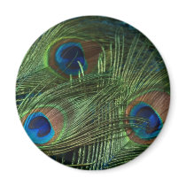 Green Peacock Feathers