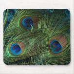 Green Peacock Feathers mousepads