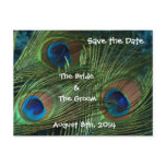 Green Peacock Feathers Save the Date Postcard