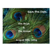 Green Peacock Feathers Save the Date Postcard