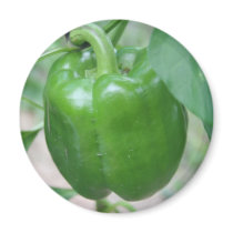 Green Pepper Magnet