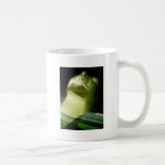 Green Pharoah By Bernadette Sebastiani Mugs