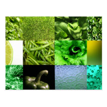 Green Photo Collage Post Card