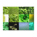 Green Photo Collage postcards