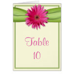 Green Pink Gerbera Daisy Table Number Card