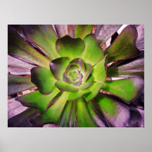 Green Plant Print