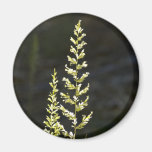 Green Plant Refrigerator Magnet
