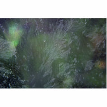 Green Plastic Photo Sculptures