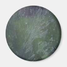 Green Plastic Refrigerator Magnet