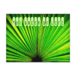 Green postcards