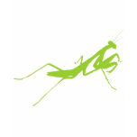 Green Praying Mantis t-shirts