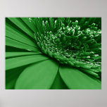 Green Print